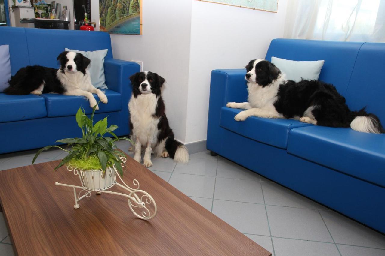 Hotel Marina Roseto Degli Abruzzi Eksteriør billede