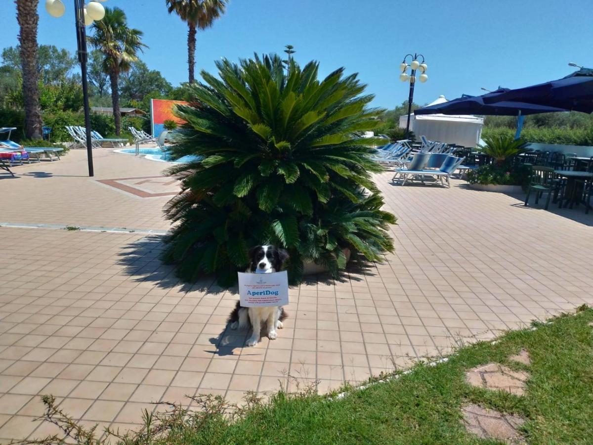 Hotel Marina Roseto Degli Abruzzi Eksteriør billede