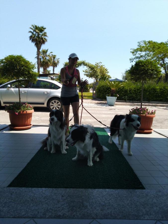 Hotel Marina Roseto Degli Abruzzi Eksteriør billede